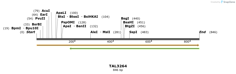 61027_map