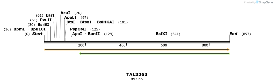 61028_map