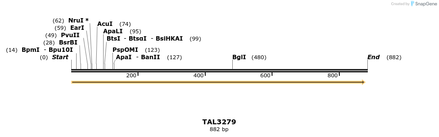 61029_map