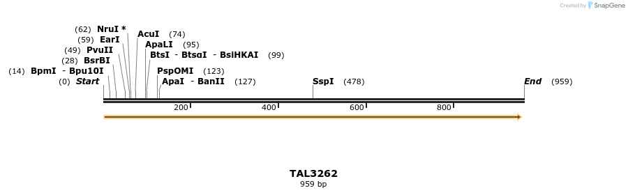61030_map