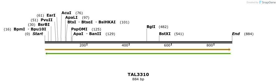 61033_map
