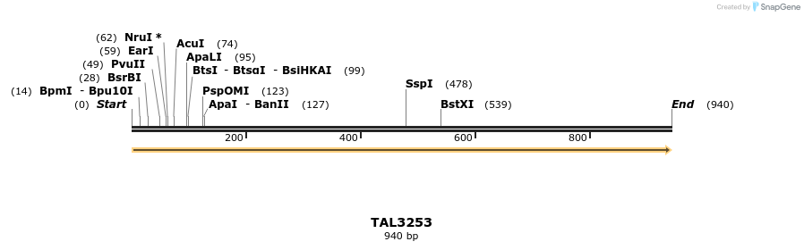 61037_map