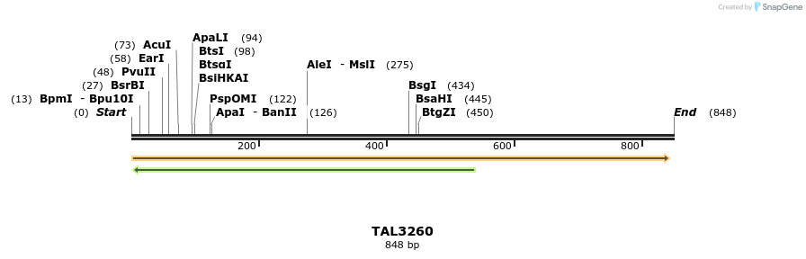 61038_map