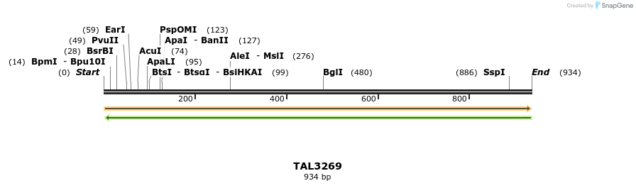 61039_map