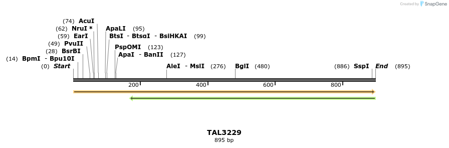 61044_map