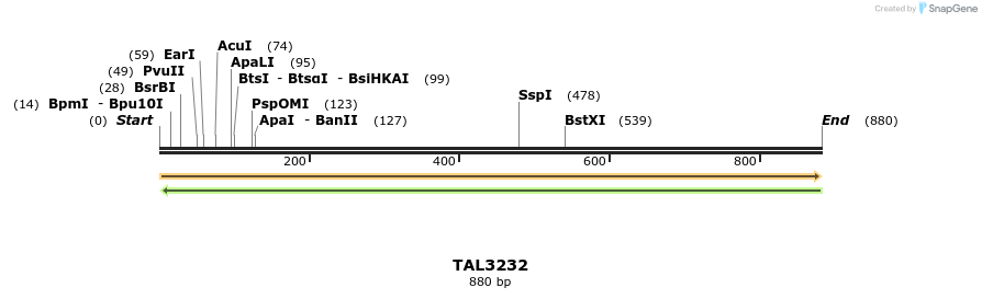 61045_map