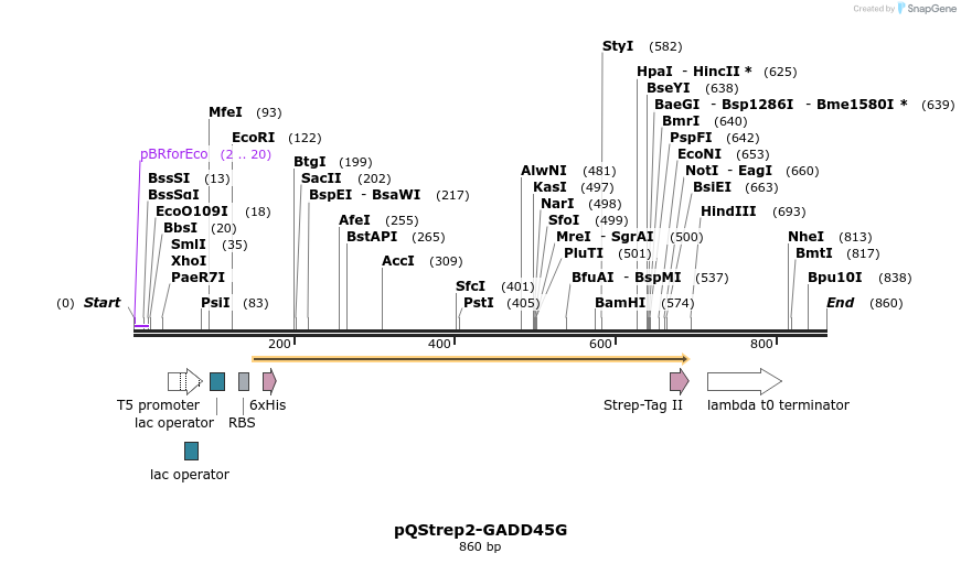 61049_map