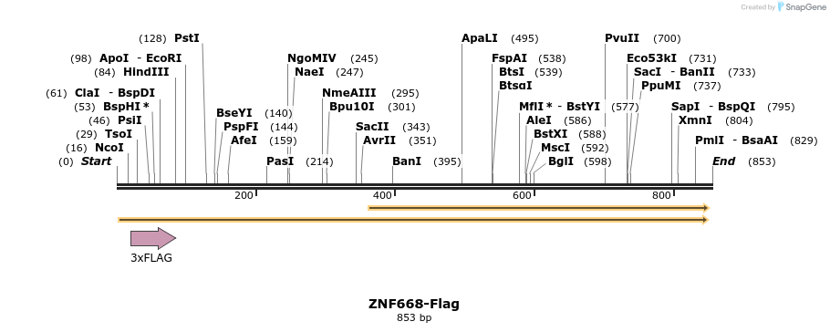 61050_map