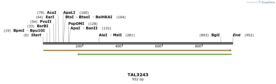 61051_map