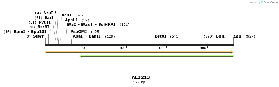 61053_map