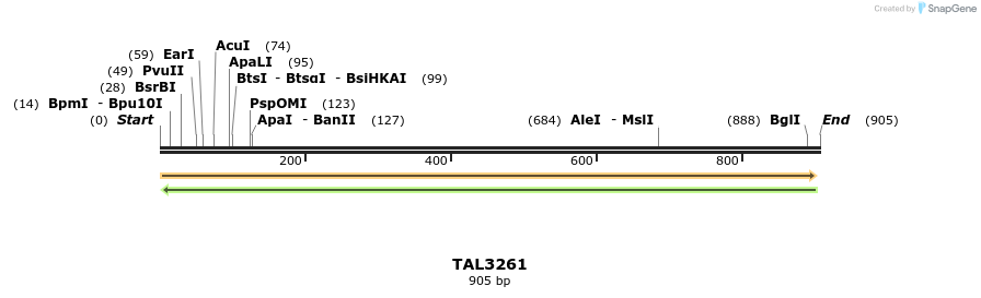 61054_map