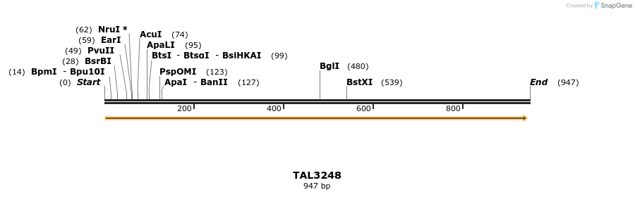 61058_map