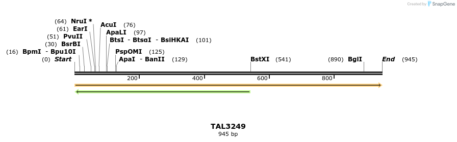 61059_map