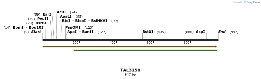 61060_map