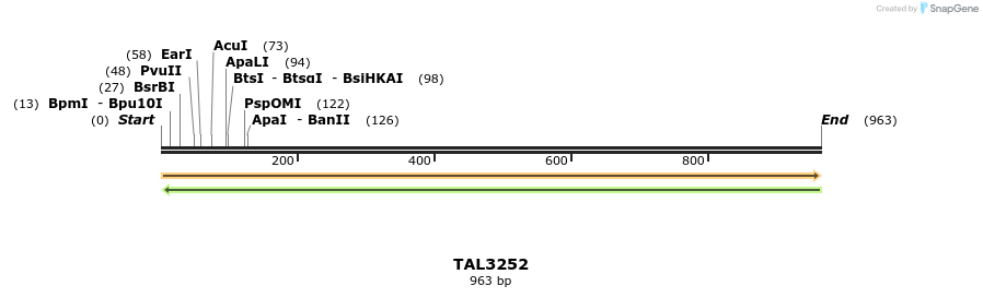 61062_map