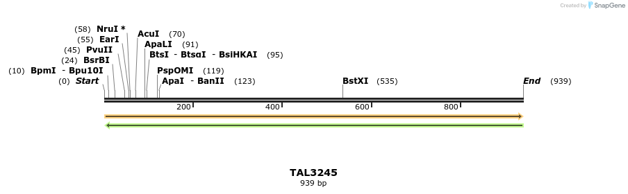 61064_map