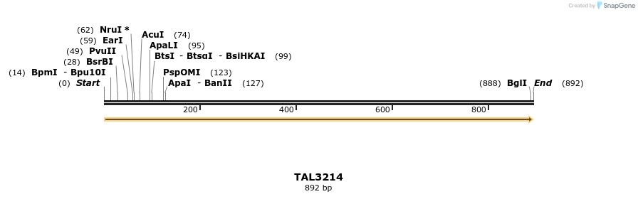 61066_map