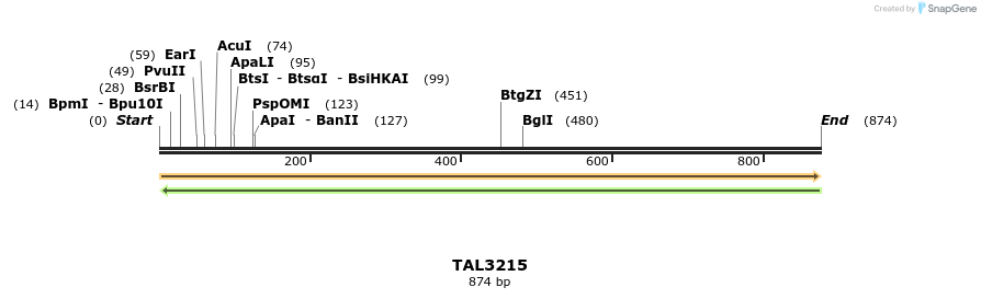 61067_map