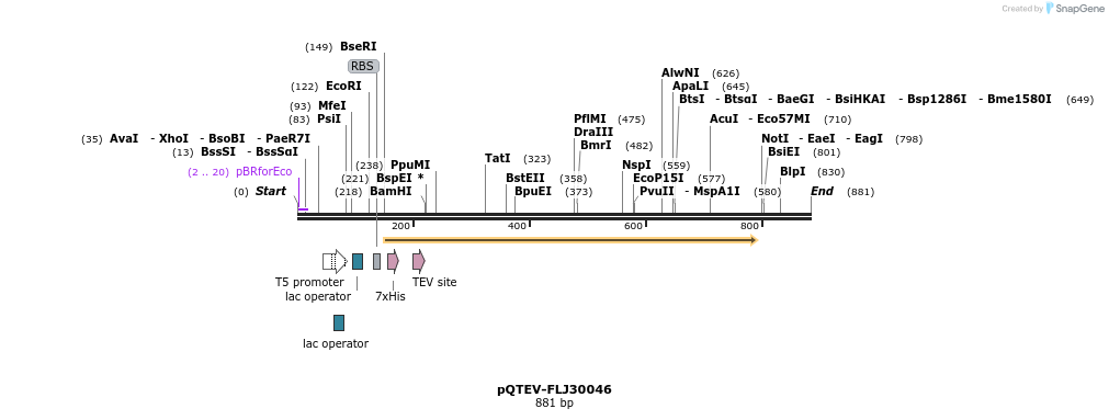 61068_map