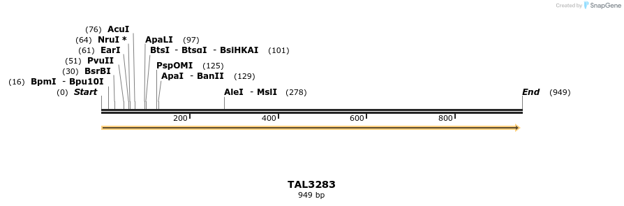 61072_map