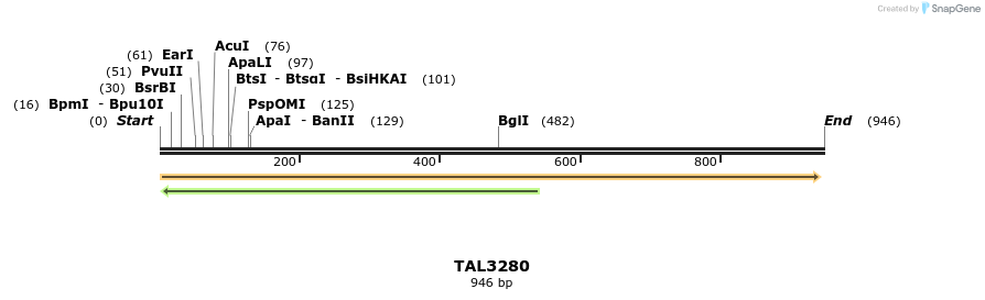 61075_map