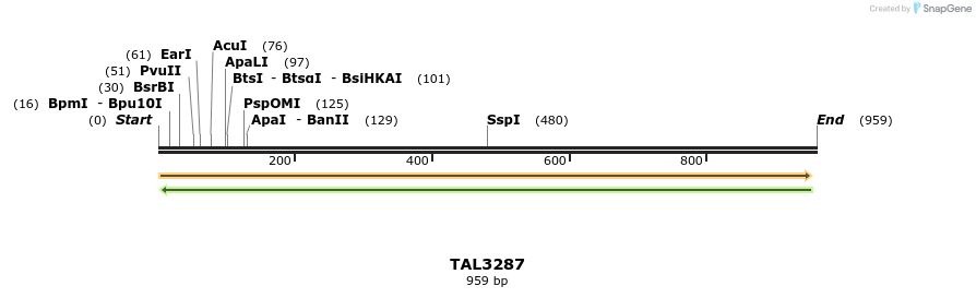 61077_map