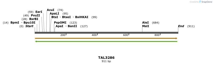 61078_map