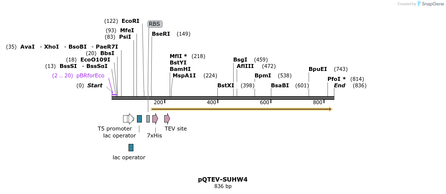 61079_map