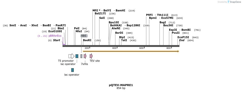 61081_map