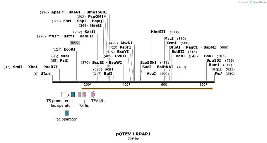 61084_map