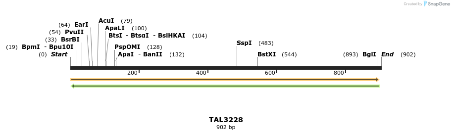 61085_map