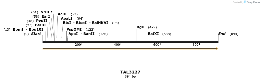 61086_map