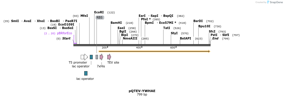 61087_map