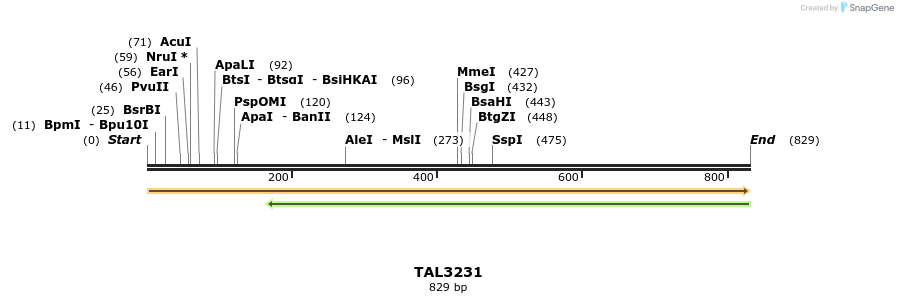 61088_map