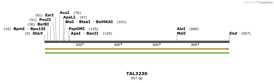 61089_map