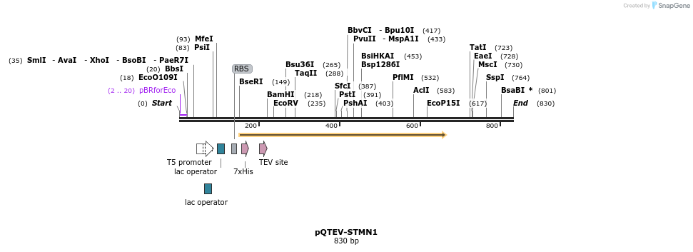 61090_map