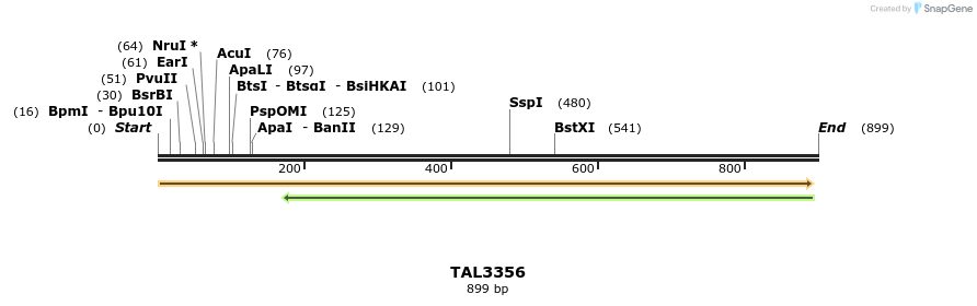 61091_map