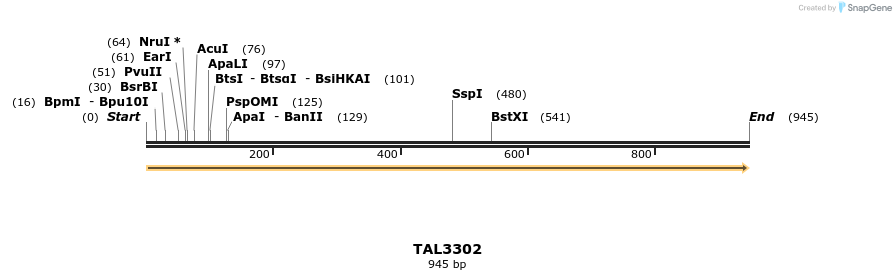 61093_map