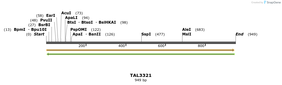 61097_map