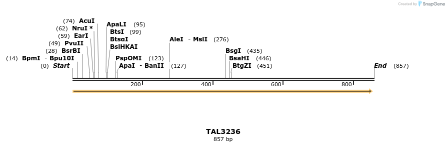 61100_map