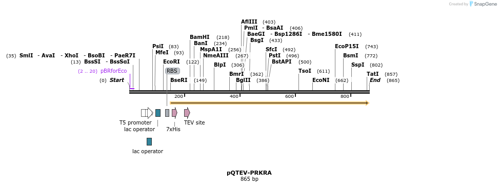 61104_map