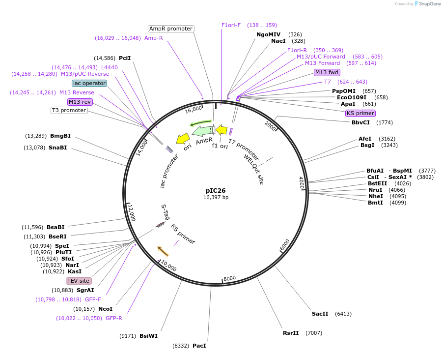 61124_map