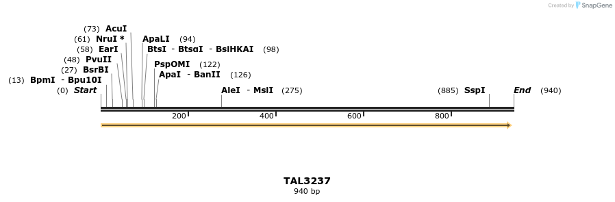 61125_map