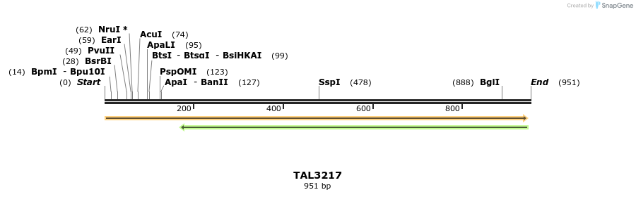 61126_map