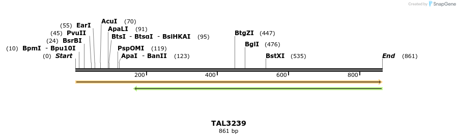 61131_map