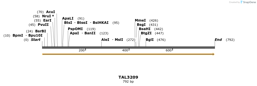 61132_map