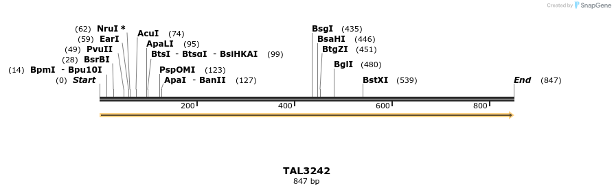 61133_map