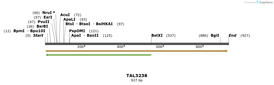 61134_map