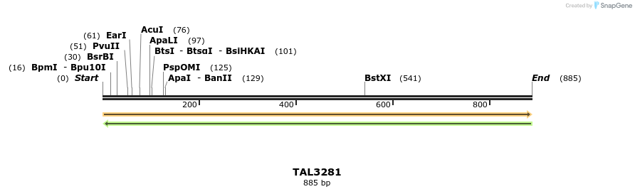 61135_map