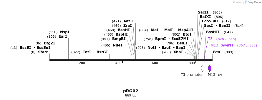 61140_map